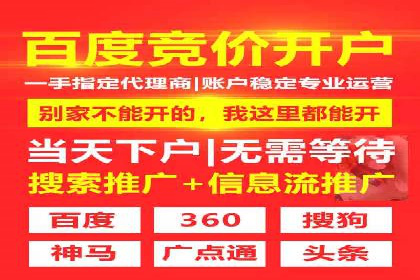 竞价推广与SEM托管结合的营销策略——某电商平台的实践